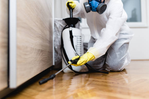 Best Affordable Pest Control Services  in Aumsville, OR