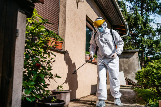 Best Pest Control Near Me  in Aumsville, OR
