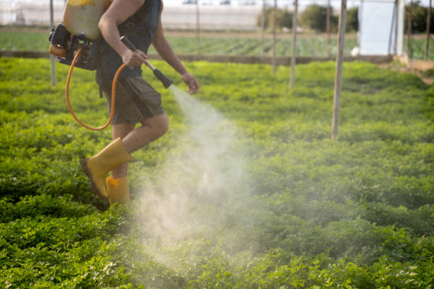 Pest Prevention Services in Aumsville, OR