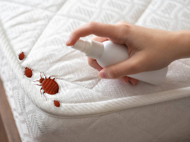 Best Mosquito Control Services  in Aumsville, OR