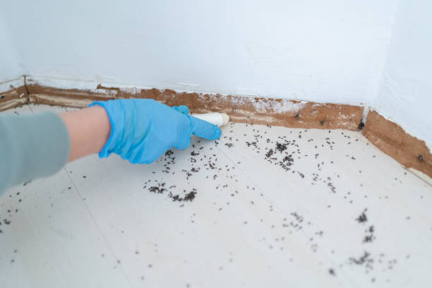 Best Wildlife Control Services  in Aumsville, OR