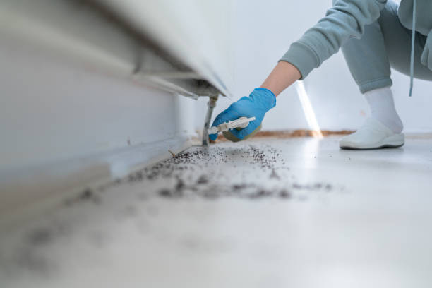 Best Rat Extermination Near Me  in Aumsville, OR